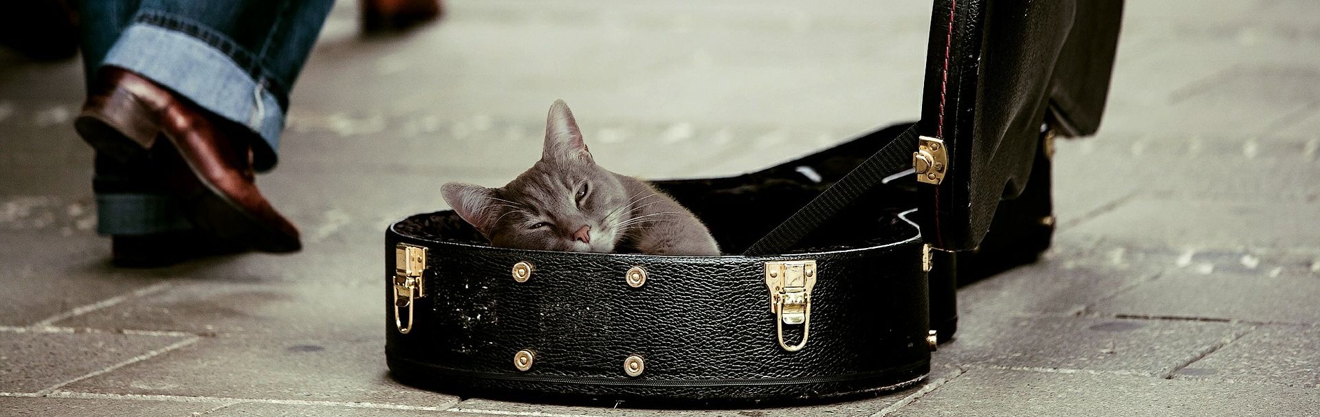 les robins de la rue, manche, rue